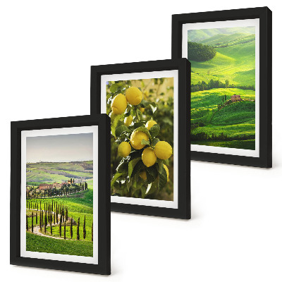 Stenska galerija slik Italijanske pokrajine z agrumi in zelenimi griči