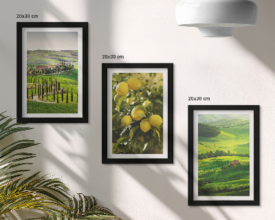 Stenska galerija slik Italijanske pokrajine z agrumi in zelenimi griči