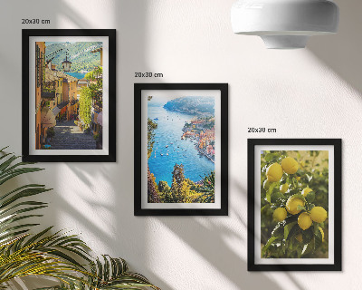 Stenska galerija slik Slikovite obmorske ulice s pogledom na morje in limone