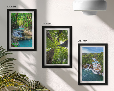 Stenska galerija slik Slapovi v zelenem gozdu s kristalno čisto vodo