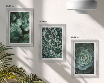 Stenska galerija slik Zelene listnate rastline in elegantne sukulente