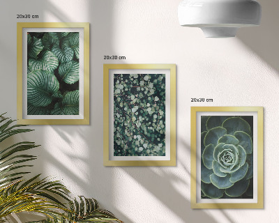 Stenska galerija slik Zelene listnate rastline in elegantne sukulente