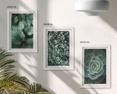 Stenska galerija slik Zelene listnate rastline in elegantne sukulente