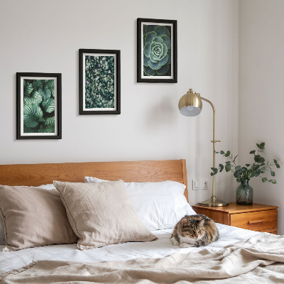 Stenska galerija slik Zelene listnate rastline in elegantne sukulente