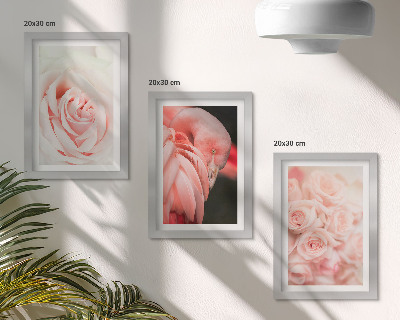 Stenska galerija slik Pastelno roza in flamingo v nežnih odtenkih