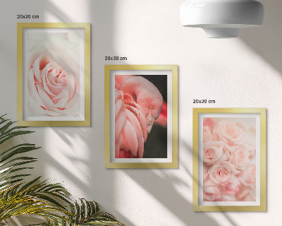 Stenska galerija slik Pastelno roza in flamingo v nežnih odtenkih