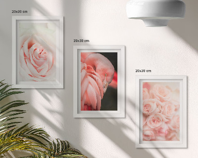 Stenska galerija slik Pastelno roza in flamingo v nežnih odtenkih