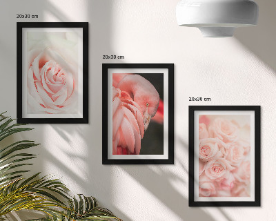 Stenska galerija slik Pastelno roza in flamingo v nežnih odtenkih