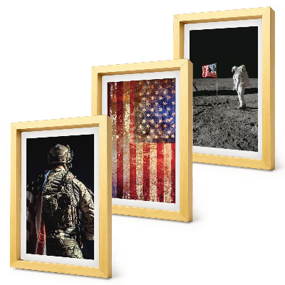 Stenska galerija slik Ameriški nacionalni simboli Zastava ZDA