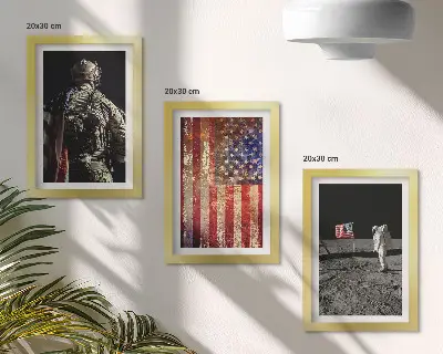 Stenska galerija slik z motivom ameriških nacionalnih simbolov in zastave ZDA
