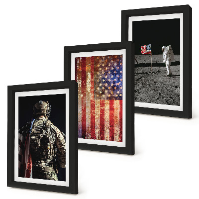 Stenska galerija slik Ameriški nacionalni simboli Zastava ZDA