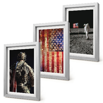 Stenska galerija slik Ameriški nacionalni simboli Zastava ZDA