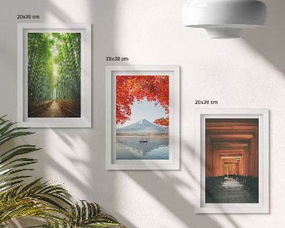 Stenska galerija slik Bambusov gozd, gora Fuji, pot torii, pokrajine Japonske