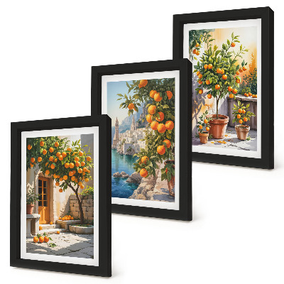Set 3 slik v okvirju Naslikani agrumi in obmorske pokrajine