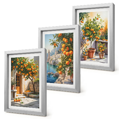 Set 3 slik v okvirju Naslikani agrumi in obmorske pokrajine