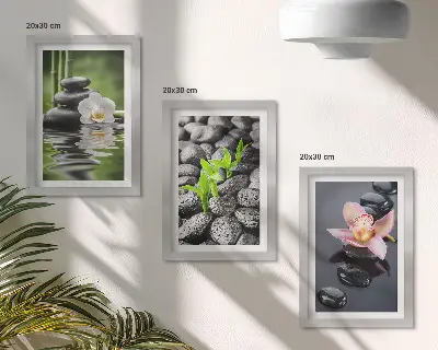 Stenska galerija slik mirna zen kompozicija s kamni in cvetjem na vodi