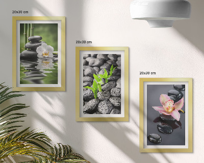 Stenska galerija slik Mirna zen kompozicija iz kamnov in cvetja na vodi