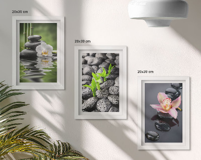 Stenska galerija slik Mirna zen kompozicija iz kamnov in cvetja na vodi