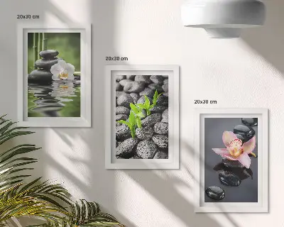Stenska galerija slik mirna zen kompozicija s kamni in cvetjem na vodi