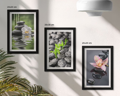 Stenska galerija slik Mirna zen kompozicija iz kamnov in cvetja na vodi