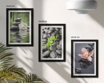 Stenska galerija slik mirna zen kompozicija s kamni in cvetjem na vodi