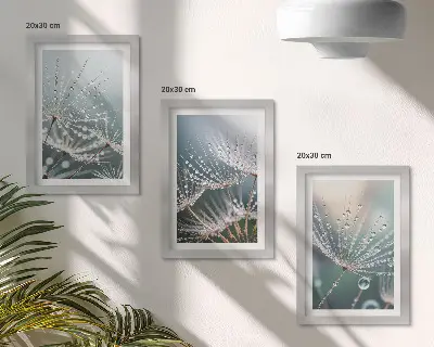 Stenska galerija slik kapljice vode na nežnih regratovih poganjkih