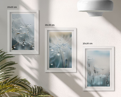 Set 3 slik v okvirju Kapljice rose na nežnih regratih