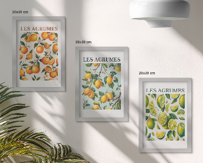 Set 3 slik v okvirju Sadni citrusni vzorci v pastelnih barvah