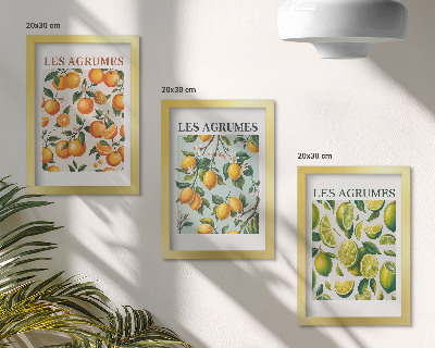 Set 3 slik v okvirju Sadni citrusni vzorci v pastelnih barvah