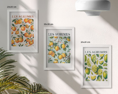 Set 3 slik v okvirju Sadni citrusni vzorci v pastelnih barvah