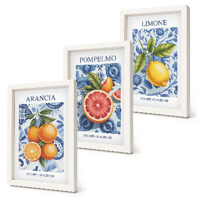 Stenska galerija slik Ilustracije starinskih citrusov