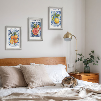 Stenska galerija slik Ilustracije starinskih citrusov