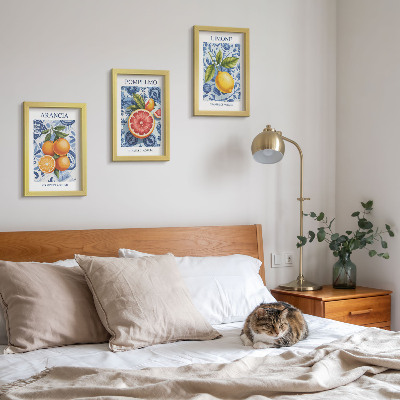 Stenska galerija slik Ilustracije starinskih citrusov