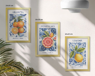 Stenska galerija slik Ilustracije starinskih citrusov