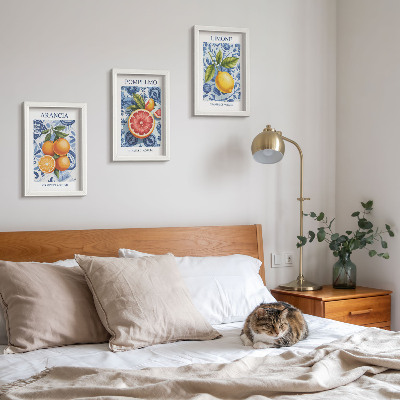 Stenska galerija slik Ilustracije starinskih citrusov