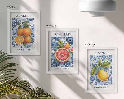 Stenska galerija slik Ilustracije starinskih citrusov