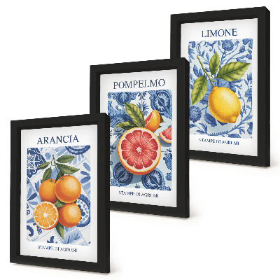 Stenska galerija slik Ilustracije starinskih citrusov