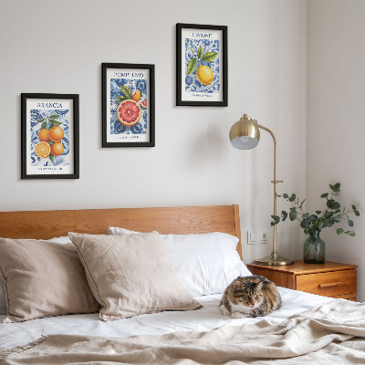 Stenska galerija slik Ilustracije starinskih citrusov