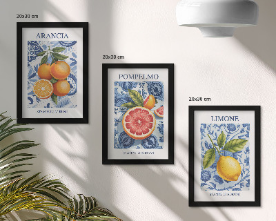Stenska galerija slik Ilustracije starinskih citrusov