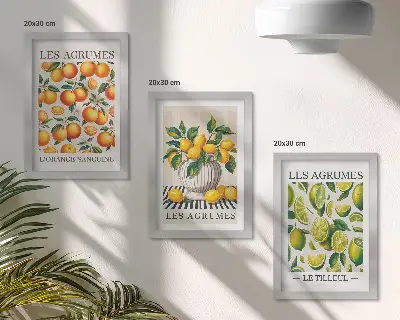 Stenska galerija slik agrumi v več barvitih in svežih različicah