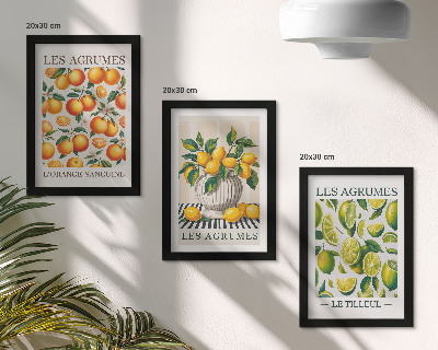 Stenska galerija slik Agrumi v različnih barvitih in svežih različicah