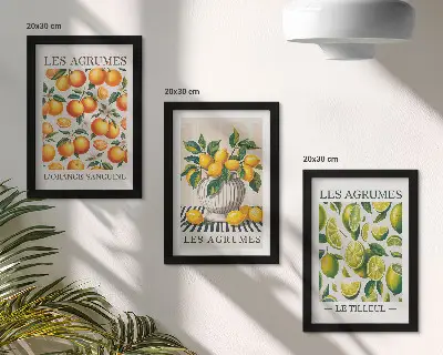 Stenska galerija slik agrumi v več barvitih in svežih različicah