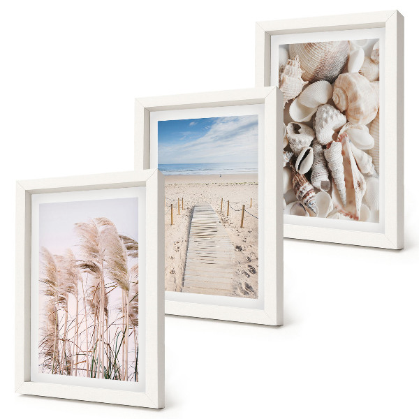 Set 3 slik v okvirju Peščena plaža z školjkami in morsko travo