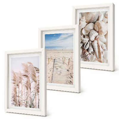Set 3 slik v okvirju Peščena plaža z školjkami in morsko travo