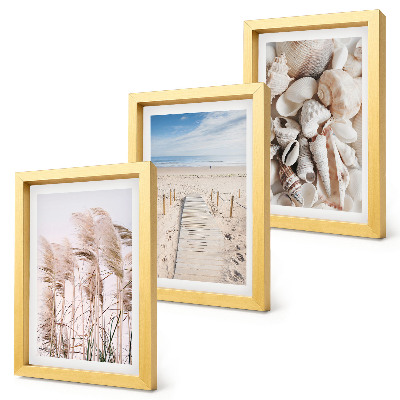 Set 3 slik v okvirju Peščena plaža z školjkami in morsko travo