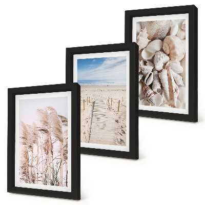 Set 3 slik v okvirju Peščena plaža z školjkami in morsko travo