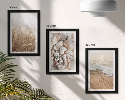 Stenska galerija slik Motivi na plaži z školjkami in morskimi valovi