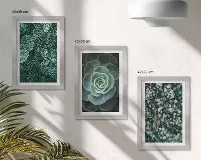 Stenska galerija slik z motivi zelenih listov sukulent in nežnih vejic