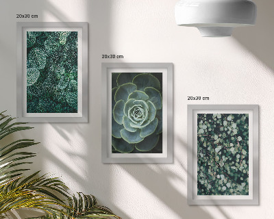 Stenska galerija slik Zeleni listi sukulentnih rastlin in nežne vejice