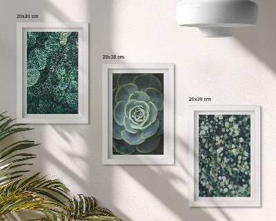 Stenska galerija slik Zeleni listi sukulentnih rastlin in nežne vejice
